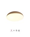 KAZZ * PLAFÓN PEQUEÑO LED ORO